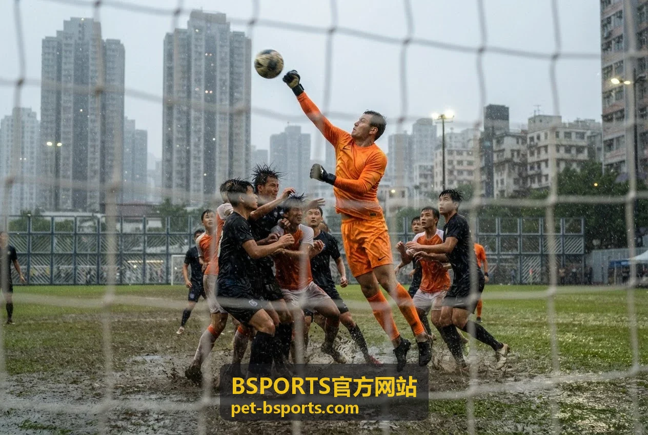 BSPORTS官方网站服务案例一