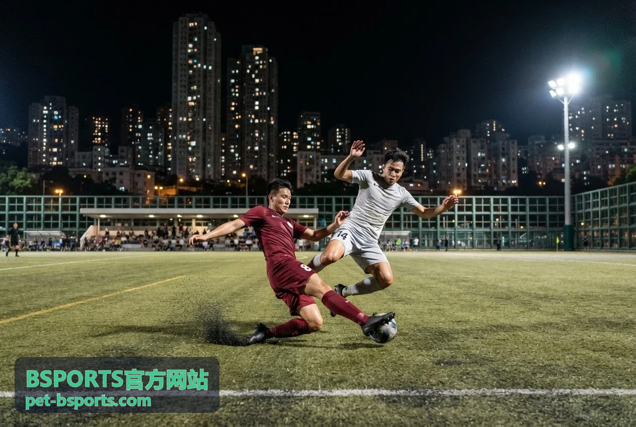 BSPORTS官方网站服务案例三